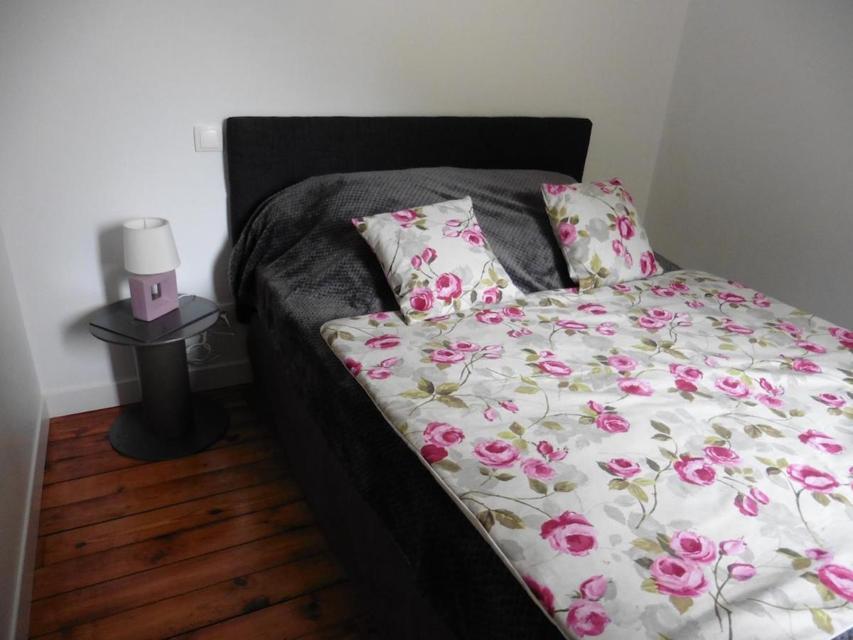 Appartement T2 4 Personnes Wifi Et Climatisation Bagneres-de-Luchon Экстерьер фото
